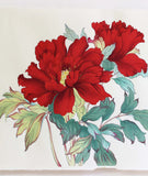 Tanigami Konan (1879~1928) -  Botan  牡丹 (Peony)「東鏡」 - Free Shipping　　