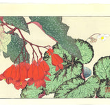 Tanigami Konan (1879~1928) -  Begonia - Free Shipping　　