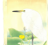 Fukuda Suiko - Shirasagi & Kawahone - Free Shipping