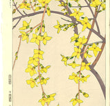 Kawarazaki Shodo - F95 Rengyo (Forsythia) - Free Shipping