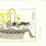 Kawanabe Kyosai - Koi to Namazu ( Caro & Catfish) - Free Shipping