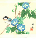 Kono Bairei  - Asagao to Shijyukara  - Free Shipping