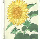 Kawarazaki Shodo - F87  Himawari (Sunflower) - Free Shipping