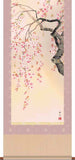 Sankoh Kakejiku - 34A6-09A  Sakura - Free Shipping