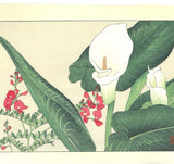 Tanigami Konan (1879~1928) -  Color lily - Free Shipping　　