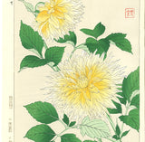 Kawarazaki Shodo - F42 Dahlia - Free Shipping