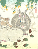 Kawanabe Kyosai - Rabbit - Free Shipping