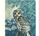 Takenaka Fu - Shiawase mitsumete (Staring at happiness) (Limited Edition 27)  - Free Shipping