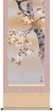 Sankoh Kakejiku - 41A6-02A - Sakura ni Kotori (Sakura & small bird) - Free Shipping