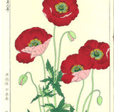 Kawarazaki Shodo - F123 Keshi (Poppy)  - Free Shipping