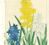 Kawarazaki Shodo - F72 Hyacinth - Free Shipping