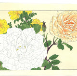 Tanigami Konan (1879~1928) -  Rose - Free Shipping　　