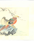 Imao Keinen - Koubai (Red Plum & Birds) - Free Shipping