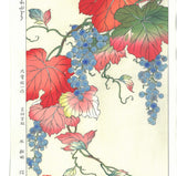 Osuga Yuichi - Yama Budo (Mountain grape) - Free Shipping