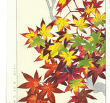 Kawarazaki Shodo - F120  Kouyou (Autumn leaves) - Free Shipping