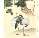 Maruyama Okyo - Tsuru Zu (Twin crane & Green Pine tree)  - Free Shipping