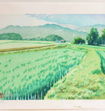 Mibugawa Junichi - Haru ta Kaze (Spring breeze rice field)  (春田風)  - Free Shipping