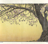 Yoshida Toshi - #017003  Sanbu zaki (Cherry Blossoms) - Free Shipping