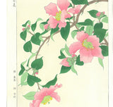 Kawarazaki Shodo - F53 Sazanka (Camellia) - Free Shipping
