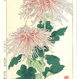 Osuga Yuichi - F180 Kiku (Chrysanthemum) - Free Shipping