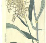 Kuzuhara Teru - F158  Ashi　あし (Reed) -  Free Shipping