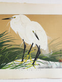 Tsuchiya Rakuzan - Hanasekishow ni Minoshirasagi - Free Shipping　