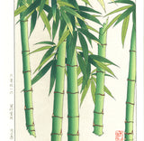 Osuga Yuichi - F182 Take  (Bamboo) - Free Shipping