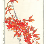 Osuga Yuichi - F181 Nanten (heavenly bamboo) - Free Shipping