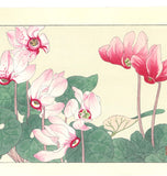Tanigami Konan (1879~1928) -  Cyclamen - Free Shipping　　