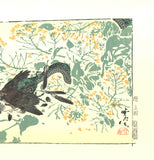 Kawanabe Kyosai - Hebi to Suzume (Snakes and sparrows) - Free Shipping