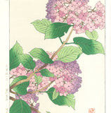 Osuga Yuichi - F178 Ajisai  (Hydrangea) - Free Shipping    Only 1 left!!
