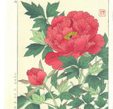 Kawarazaki Shodo - F11 Botan ( Peony) - Free Shipping