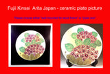 Fujii Kinsai Arita Japan - Somenishiki Platinum & Gold Rabbit  ceramic plate picture #2 - Free Shipping