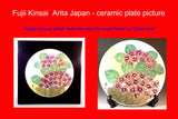 Fujii Kinsai Arita Japan - Somenishiki Platinum & Gold Rabbit  ceramic plate picture - Free Shipping