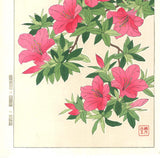 Kawarazaki Shodo - F92 Tutsuji (Azalea) - Free Shipping