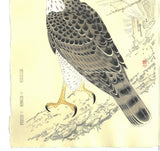 Fukuda Suiko - Taka (Hawk) - Free Shipping