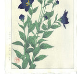 Kawarazaki Shodo - F47 Kikyo (Bell-flower) - Free Shipping