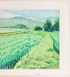Mibugawa Junichi - Haru ta Kaze (Spring breeze rice field)  (春田風)  - Free Shipping