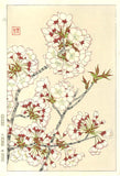 Kawarazaki Shodo - F019 Sakura (Cherry Blossoms)