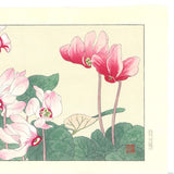 Tanigami Konan (1879~1928) -  Cyclamen - Free Shipping　　