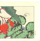 Tanigami Konan (1879~1928) -  Begonia - Free Shipping　　