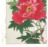 Kawarazaki Shodo - F009 Botan ( Peony) - Free Shipping