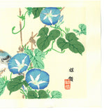 Kono Bairei  - Asagao to Shijyukara  - Free Shipping