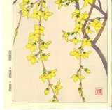 Kawarazaki Shodo - F95 Rengyo (Forsythia) - Free Shipping