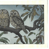 Yoshida Toshi - #017001 Fukuro (Two Owls) - Free Shipping