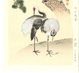 Maruyama Okyo - Tsuru Zu (Twin crane & Green Pine tree)  - Free Shipping