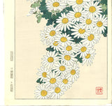 Kawarazaki Shodo - F37 Kiku (Chrysanthemum) - Free Shipping
