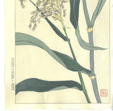 Kuzuhara Teru - F158  Ashi　あし (Reed) -  Free Shipping