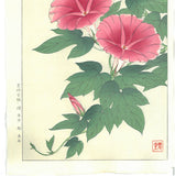 Kawarazaki Shodo - F61 Asagao (Morning glory) - Free Shipping