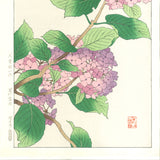 Osuga Yuichi - F178 Ajisai  (Hydrangea) - Free Shipping    Only 1 left!!